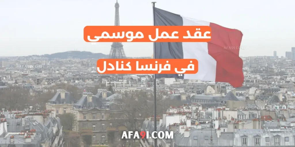 الدراسة-في-الإمارات-العربية-منح-جامعية-ممولة-من-الجامعة-الكندية-بدبي-1-1024x512 home